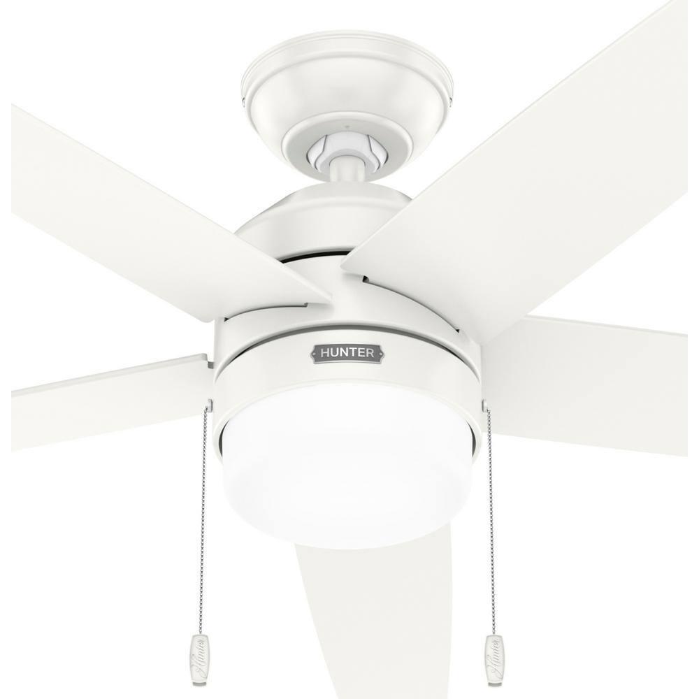 Bardot 52" 5 - Blade Ceiling Fan With Lights and Pull Chains