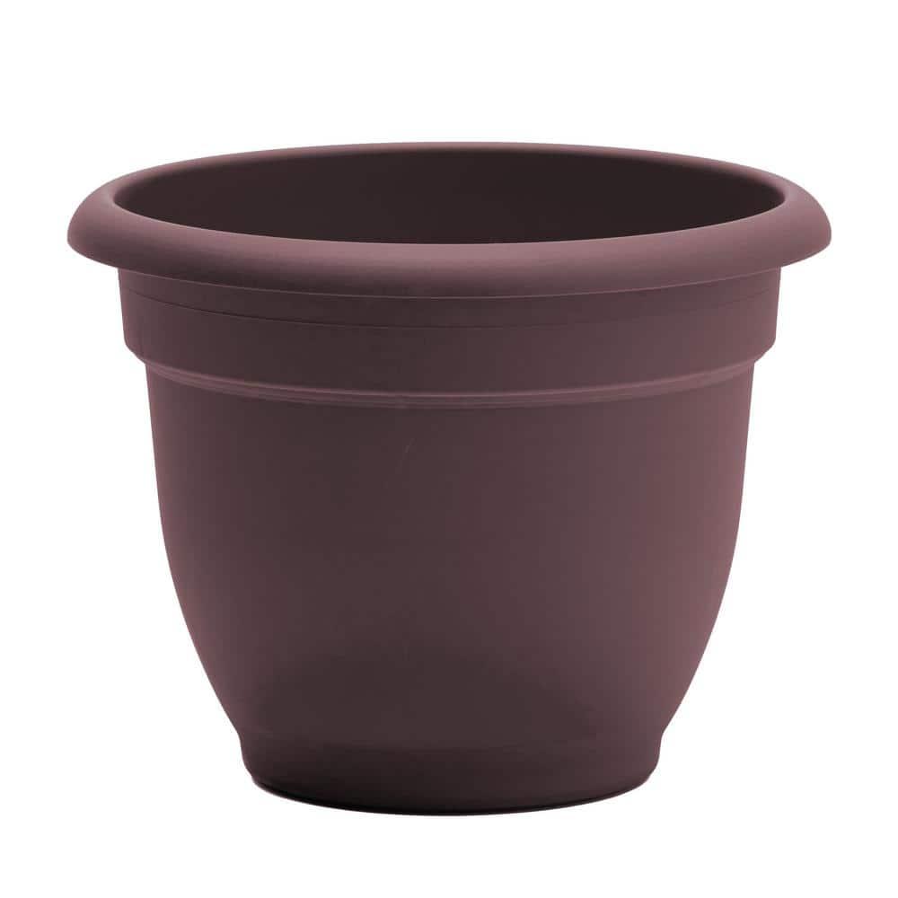 Bloem Ariana Self Watering Planter 12" Merlot. The Ariana planter wate, Each