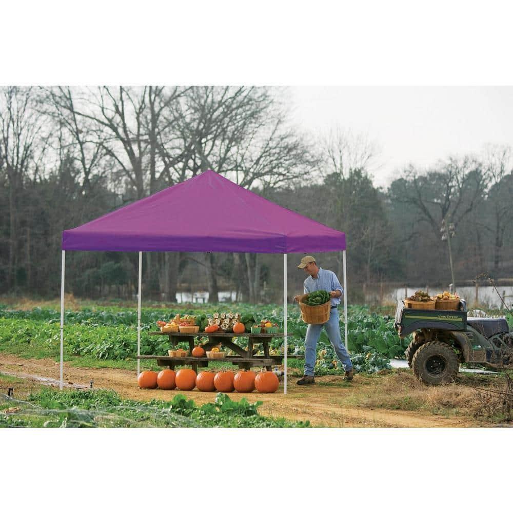 ShelterLogic 12 Ft. W x 12 Ft. D Metal Pop-Up Canopy