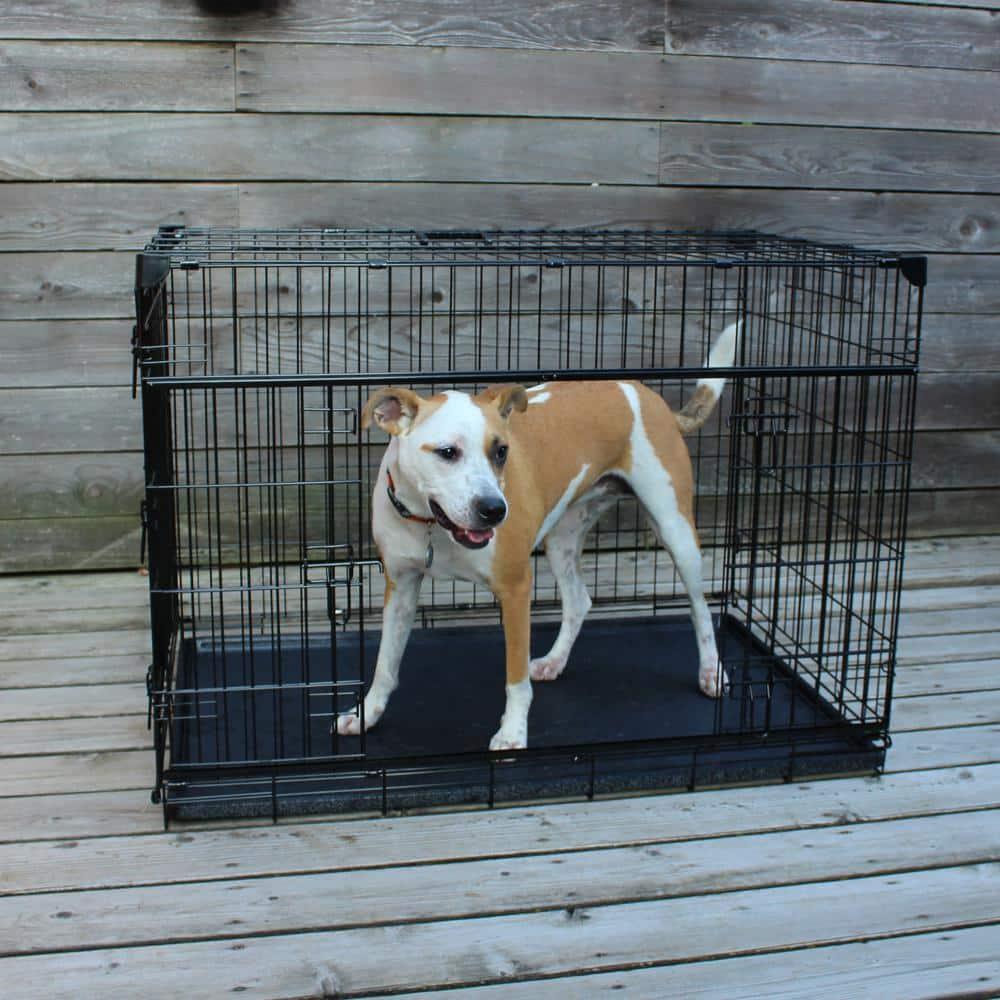 Lucky Dog Sliding Door Crates Pet Crate with Sliding Double Door