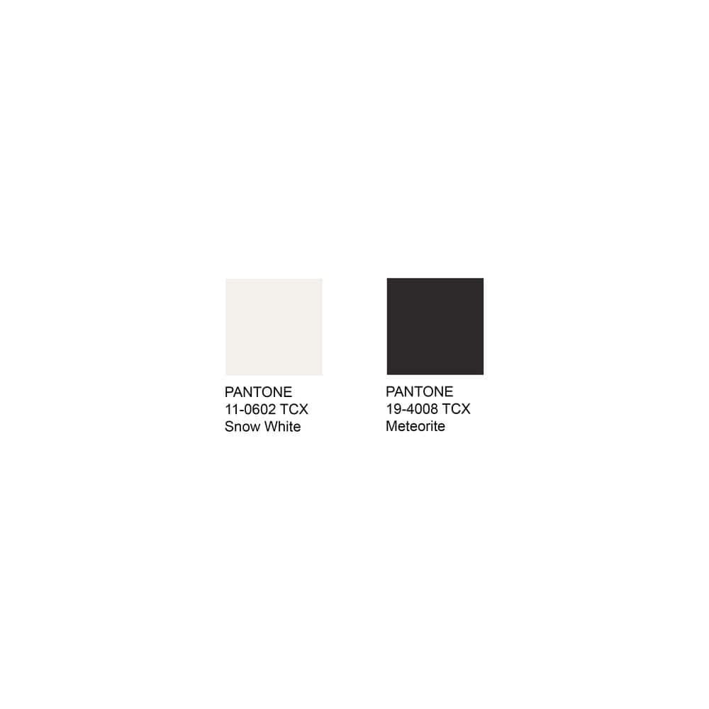 Florida Shag SG455 Power Loomed Area Rug - Ivory/Black - 5'x5' - Safavieh.