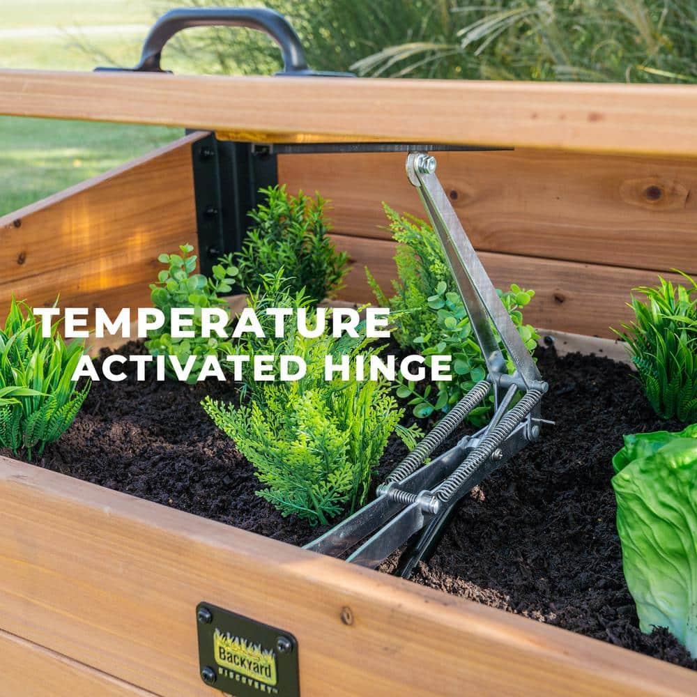 Backyard Discovery Aggie 4x2' Cedar Wood Cold Frame Mini Greenhouse, Polycarbonate Lid