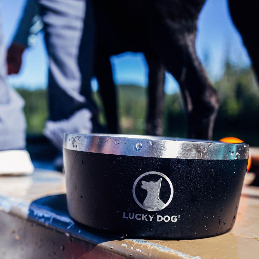 Lucky Dog Lucky Dog INDULGE 8 Double Wall Stainless Steel Dog Bowl