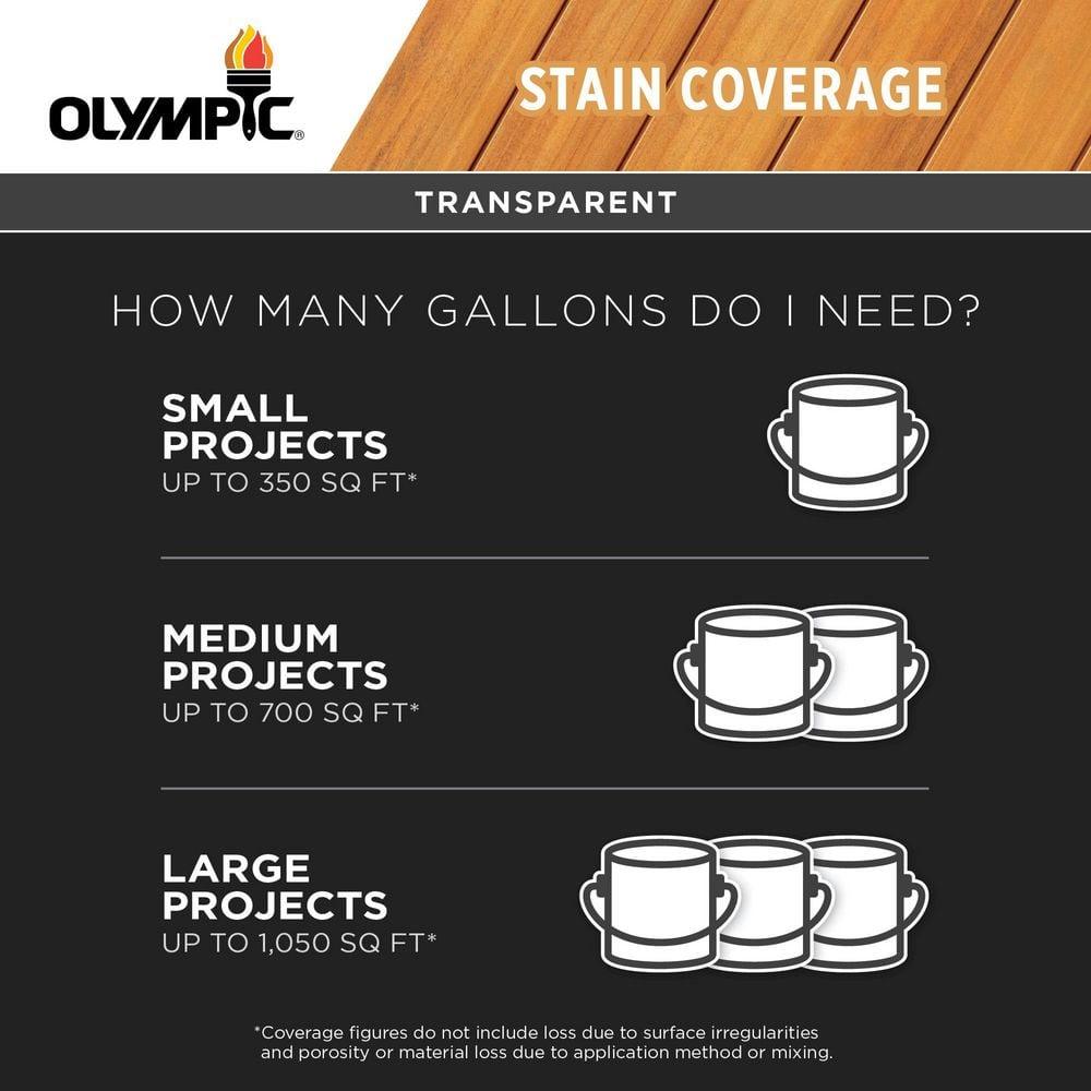 Olympic Waterguard 1 Gallon Clear Multi-Surface Waterproofing Sealer