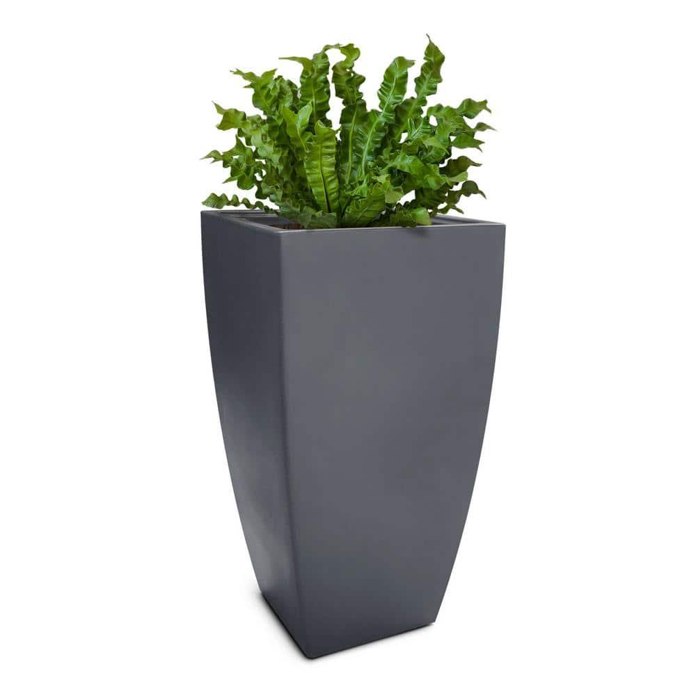Mayne Inc. Vernamae  Resin Pot Planter With Water Reservoir
