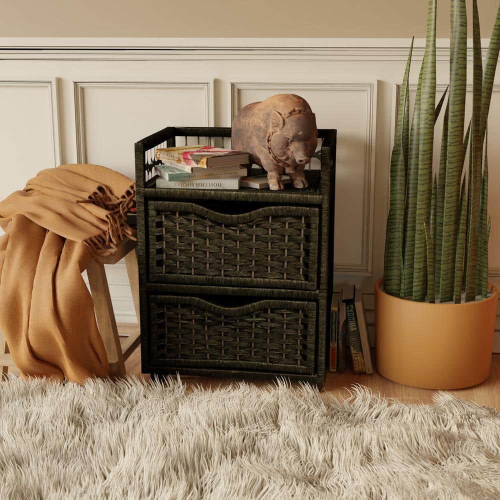 Bay Isle Home™ Aimee 2 Drawer Storage Drawer
