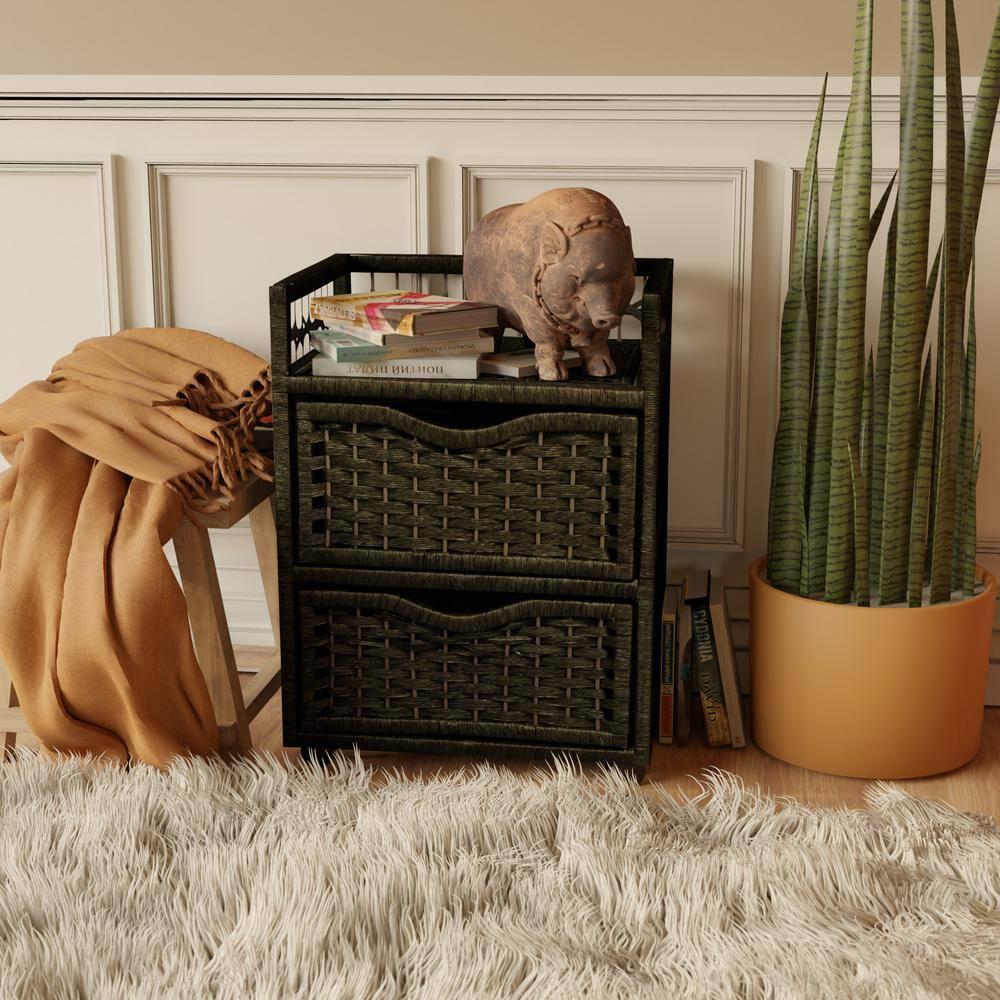 Bay Isle Home™ Aimee 2 Drawer Storage Drawer