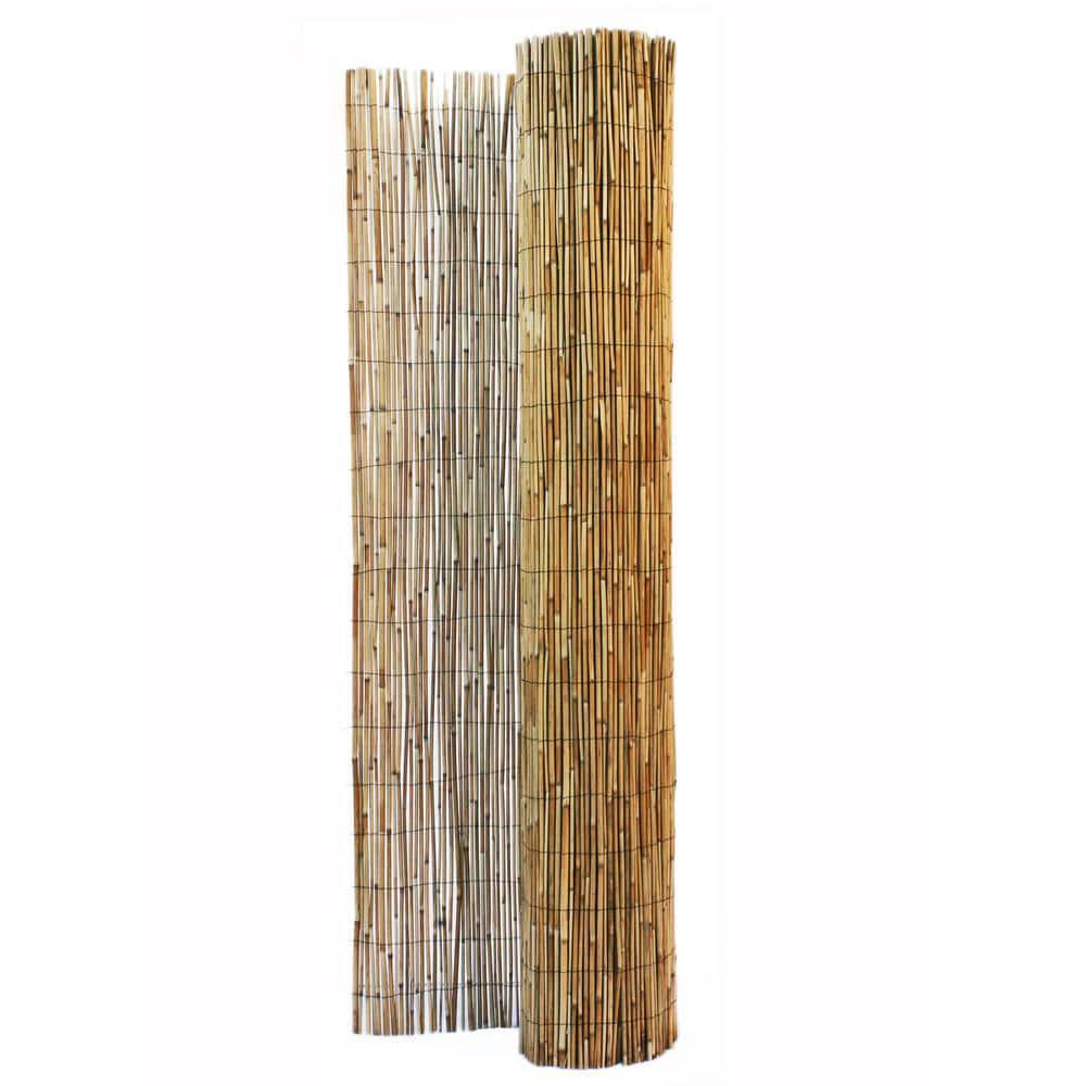 Backyard X-Scapes 6 ft. H x 16 ft. W Natural Jumbo Reed Fence Decorative Garden Fencing Divider