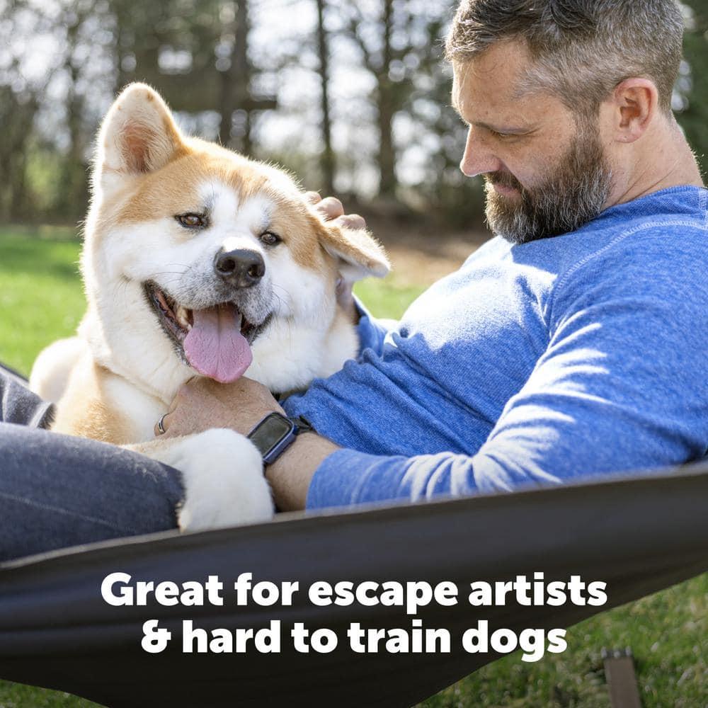 PetSafe® PetSafe® Stubborn Dog In-Ground Fence