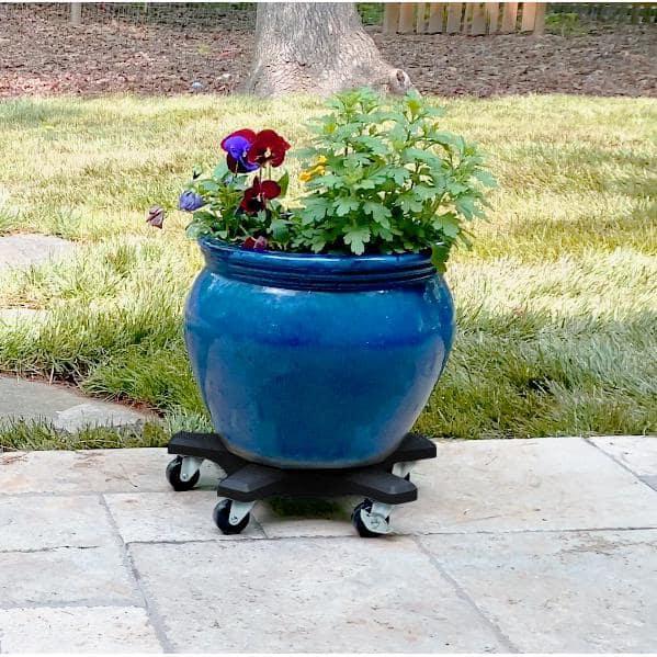 Plantstand Caddy Plant Stand