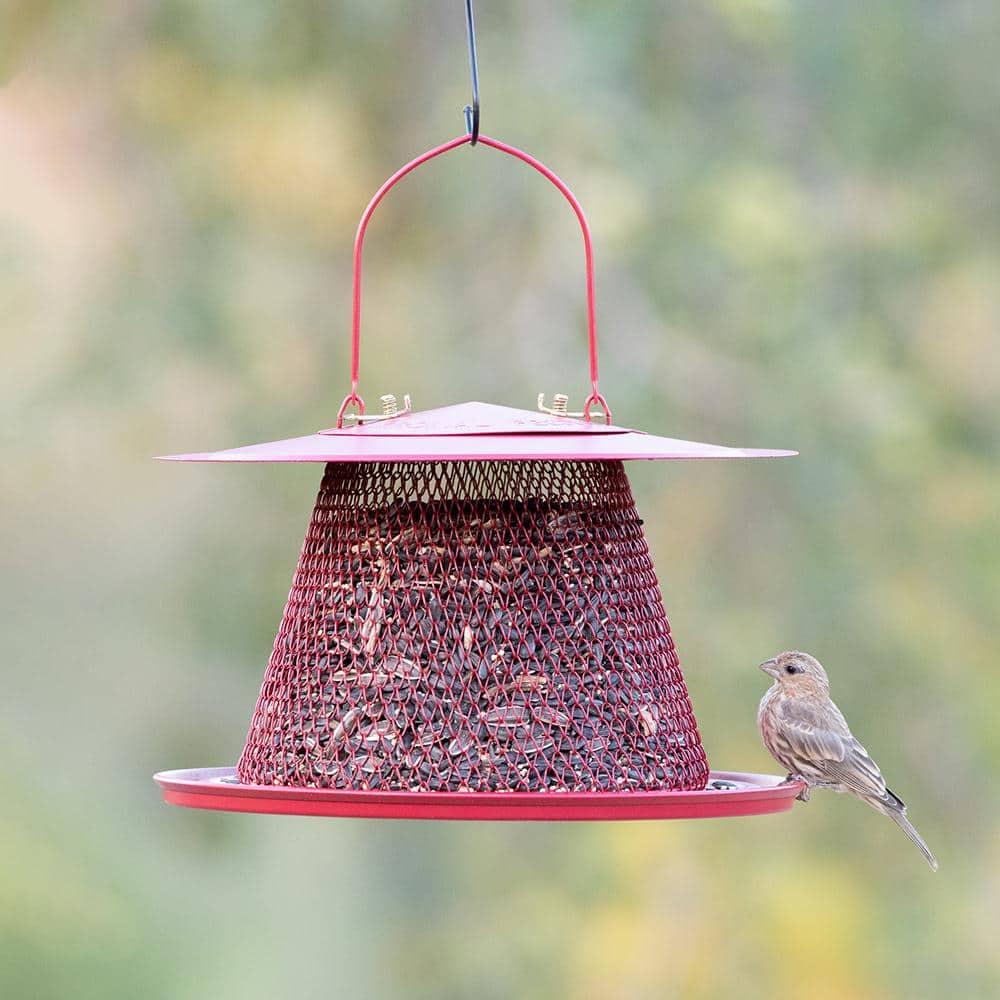 Perky-Pet Red Cardinal Wild Bird Feeder - 2.5 lb Capacity
