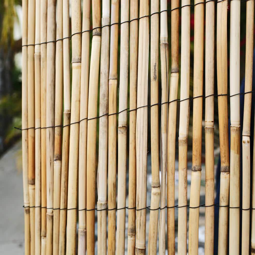 Backyard X-Scapes 6 ft. H x 16 ft. W Natural Jumbo Reed Fence Decorative Garden Fencing Divider