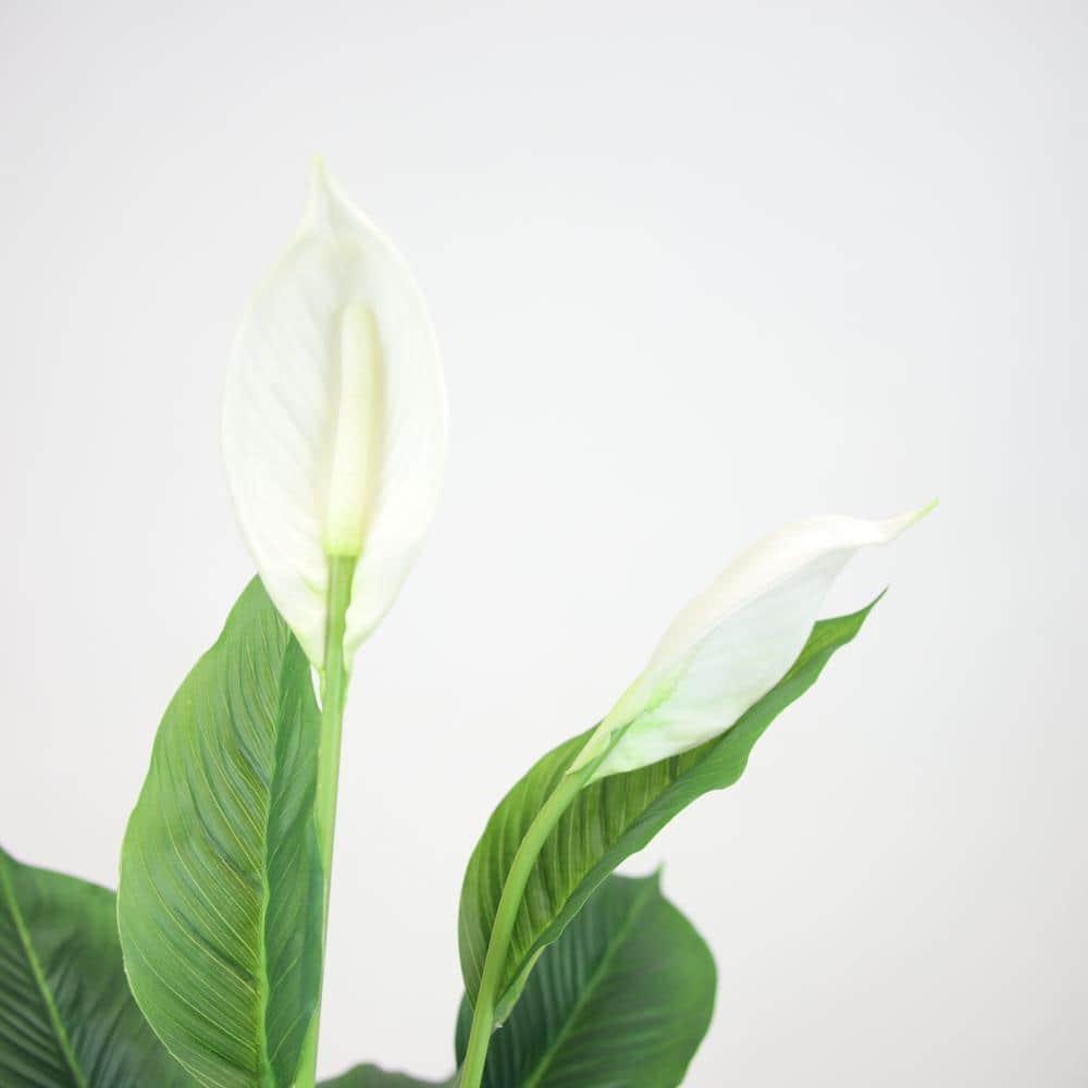 The Mod Greenhouse 29" Artificial Green Spathiphyllum Plant in a Black Matte Planter Pot