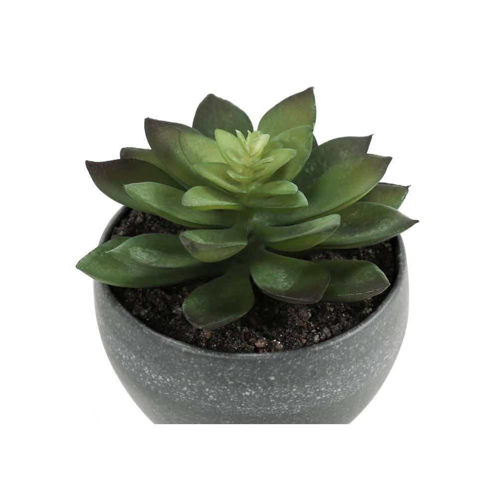 Artificial Succulents Silk Plant Indoor Set of 3, Green, Gray Cement