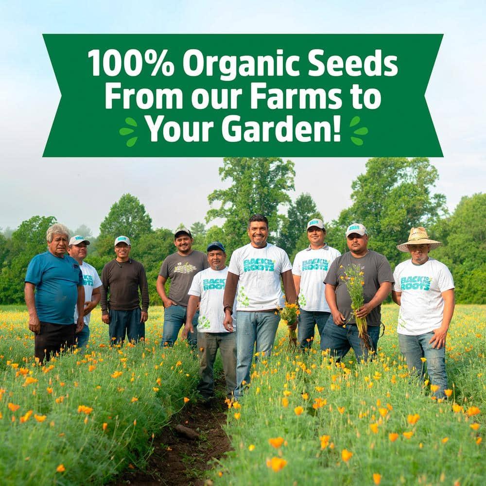 Back to the Roots 10pk Organic Beginners Garden Seeds