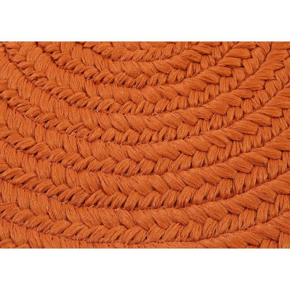 Trends Tangerine 2 ft. x 10 ft. Braided Runner Rug