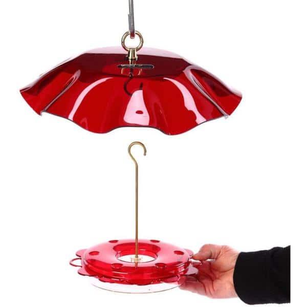 Birds Choice NP1007 Hummerfest Bird Feeder w/ Weatherguard, Hummingbird Nectar Feeder with Ant Moat, 12oz Capacity, Red
