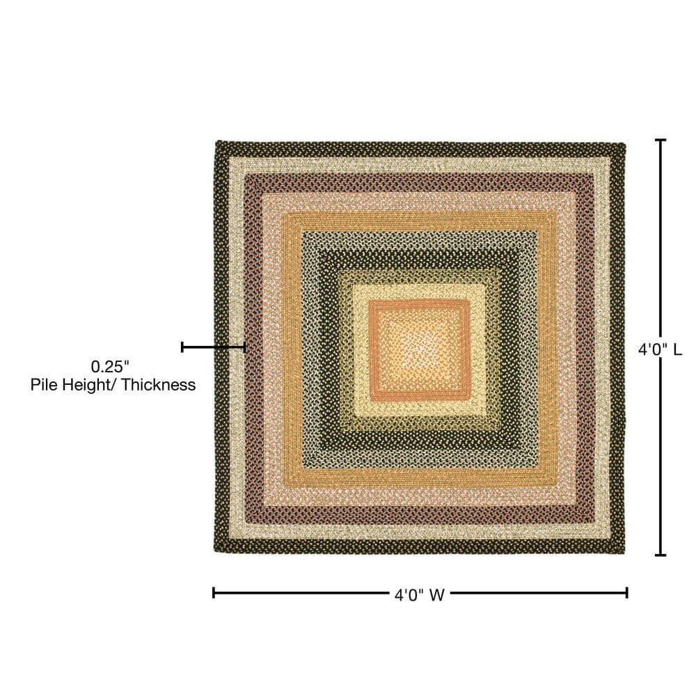Braided BRD308 Hand Woven Area Rug - Multi - 4'x4' - Safavieh.