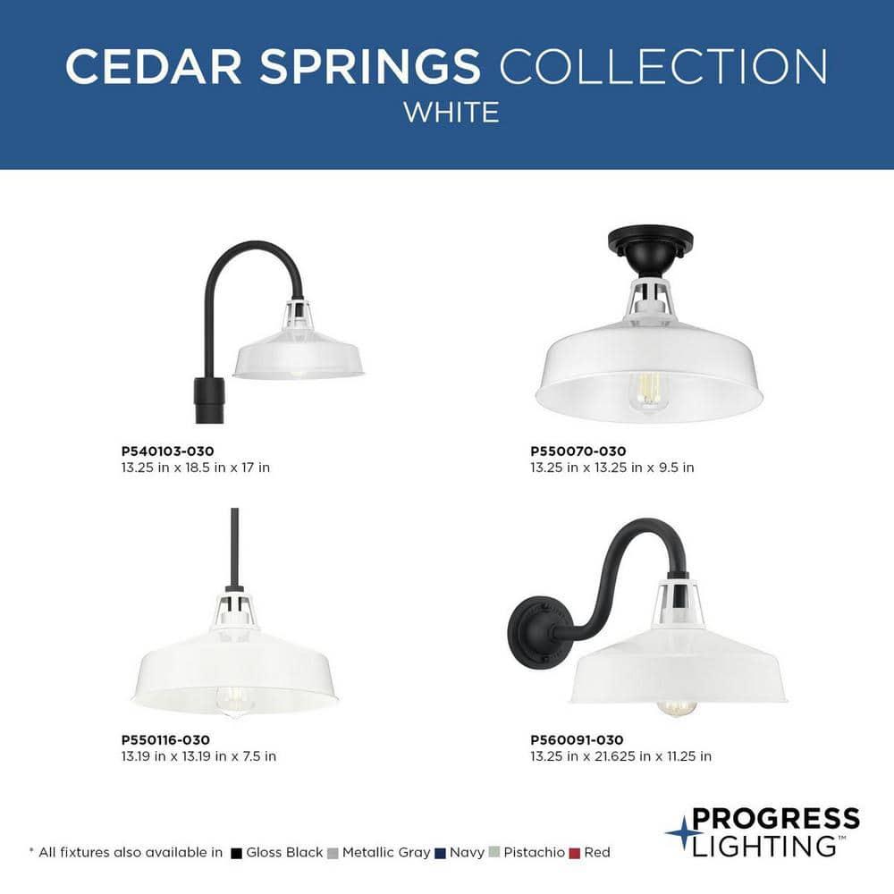 Progress Lighting Cedar Springs 1-Light Ceiling Light, White, Aluminum, Industrial-Style Shade