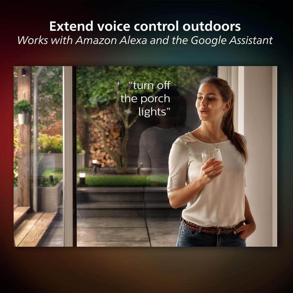 Philips Hue Discover Outdoor Floodlight