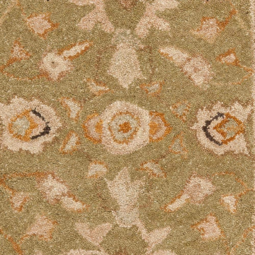 Anatolia AN512 Hand Tufted Indoor Accent Rug - Sage/Beige - 2'x3' - Safavieh
