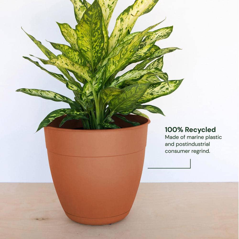 Bloem Dayton Planter With Saucer: 12" - Terra Cotta - 100% Recycled Plastic Pot, Removable Saucer, Elevated Feet, For Indoor and Outdoor Use, Gardening, 3 Gallon Capacity