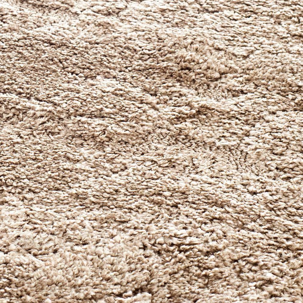 Florida Shag SG460 Power Loomed Indoor Accent Rug - Beige/Cream - 2'3"x4' - Safavieh