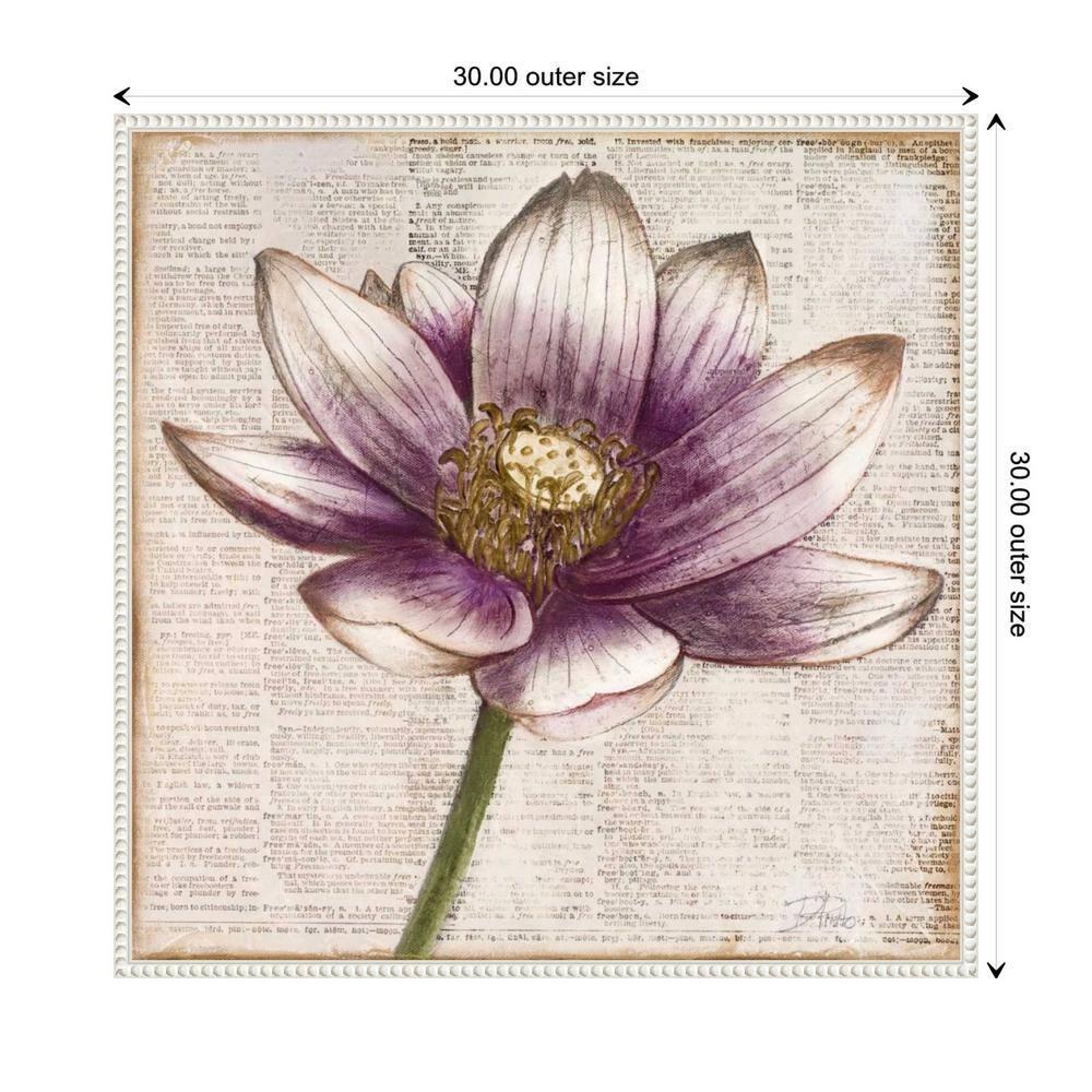 Amanti Art Defined Lotus Flower II by Patricia Pinto Canvas Wall Art Print Framed 30 x 30-in.