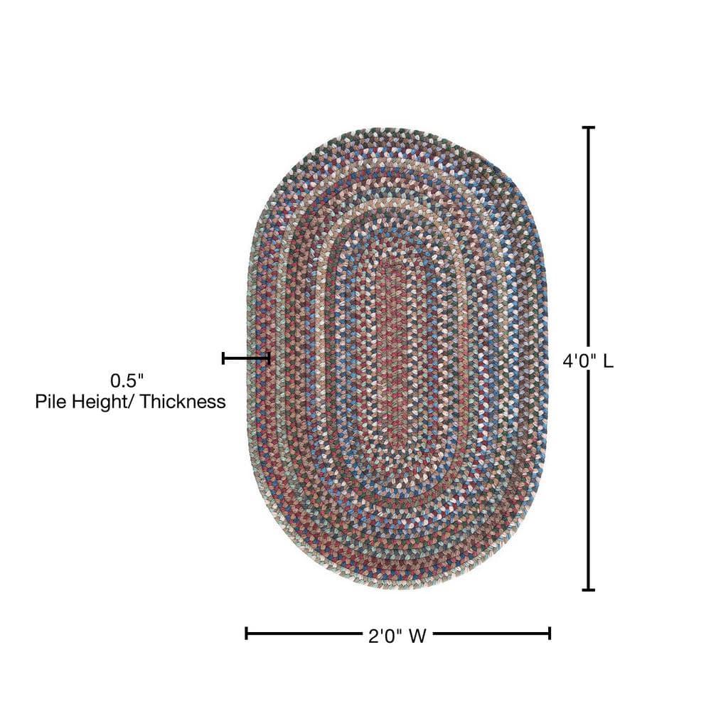 Cage Dusk 2 ft. x 4 ft. Braided Oval Area Rug