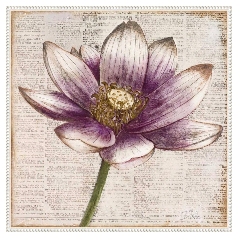 Amanti Art Defined Lotus Flower II by Patricia Pinto Canvas Wall Art Print Framed 30 x 30-in.