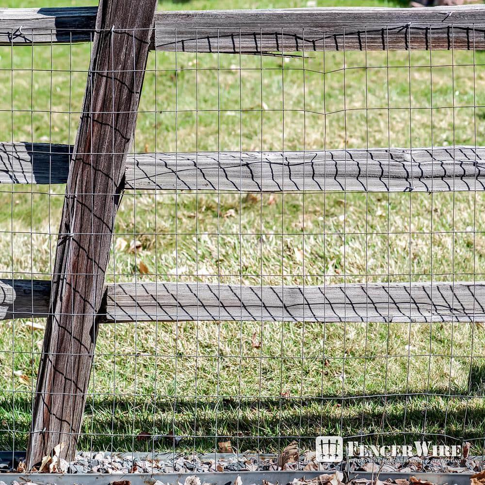 Fencer Wire Fencer Wire 12.5 Gauge Galvanized Welded Fence Wire Roll with Mesh , Multiple Options