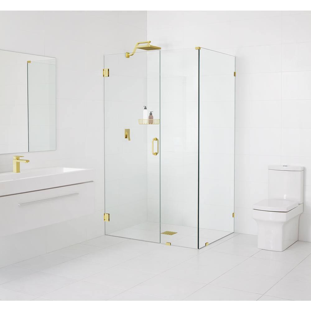 41'' W x 78'' H Pivot Frameless Shower Door with Clear Glass