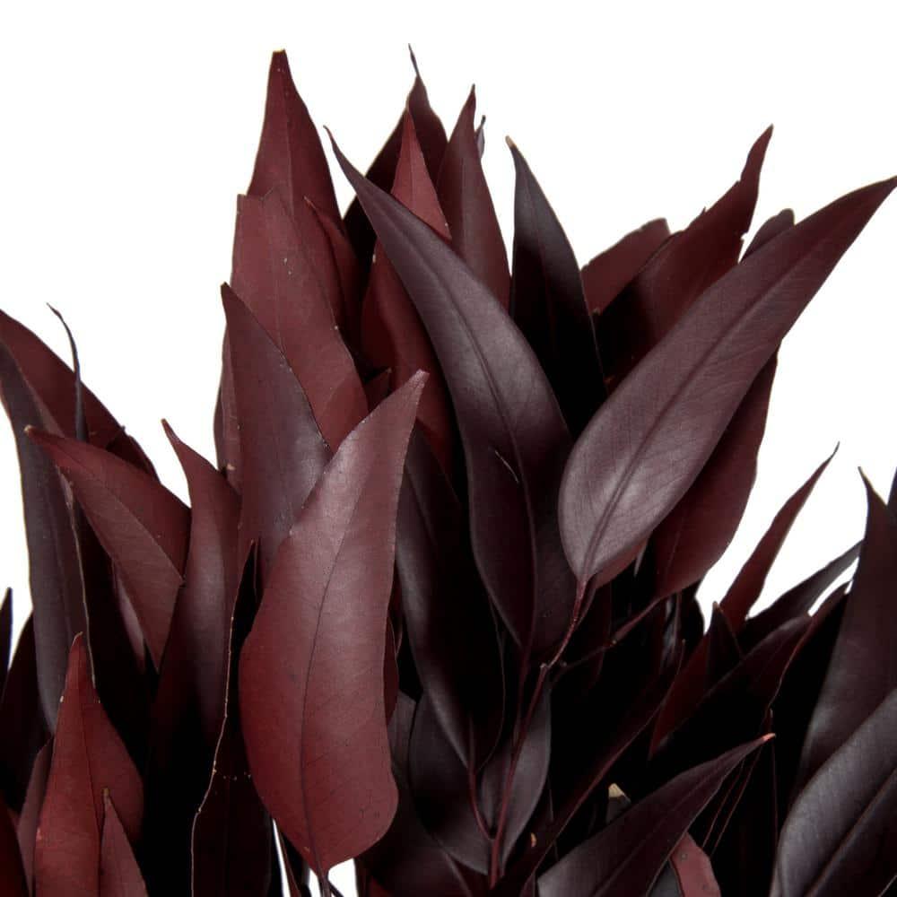 Vickerman 18" Red Weeping Willow Eucalyptus Foliage, 5 oz Bundle, Preserved