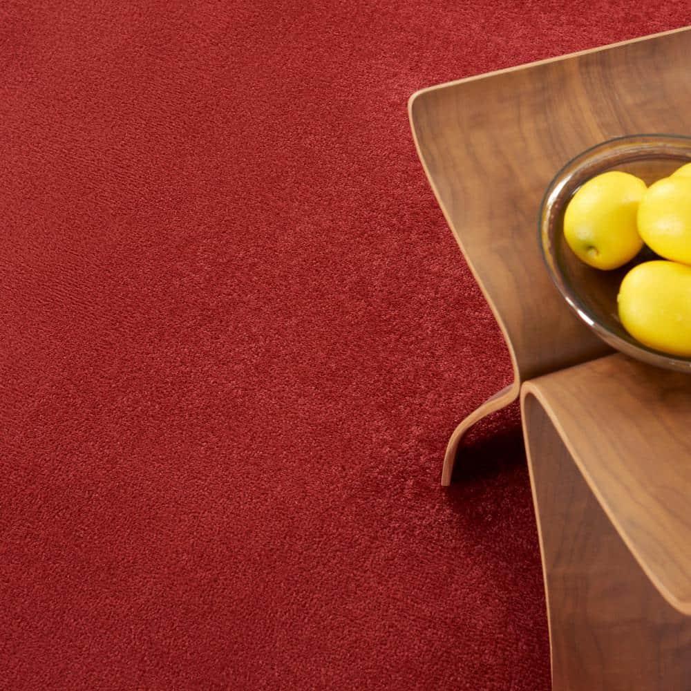 Nourison Essentials Easy Care Indoor Outdoor Area Rug - Brick Red 6' x 9'