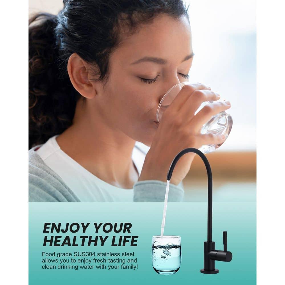 ARCORA ARCORA Stainless Steel Pull-Down Kitchen Faucet and Water Filter Faucet Combo AR7100301B-L