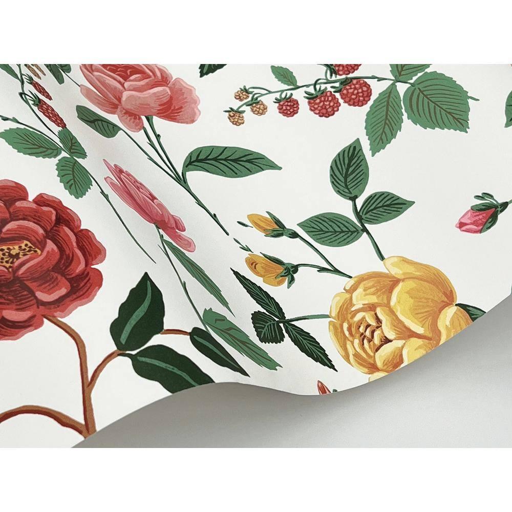 Rifle Paper Co. Roses Wallpaper