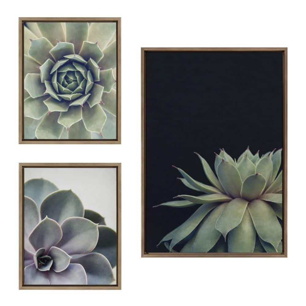 (Set of 3) 23" x 33" Sylvie Succulent Framed Canvas Set Gold - Kate & Laurel All Things Decor: Tranquil Botanical Art