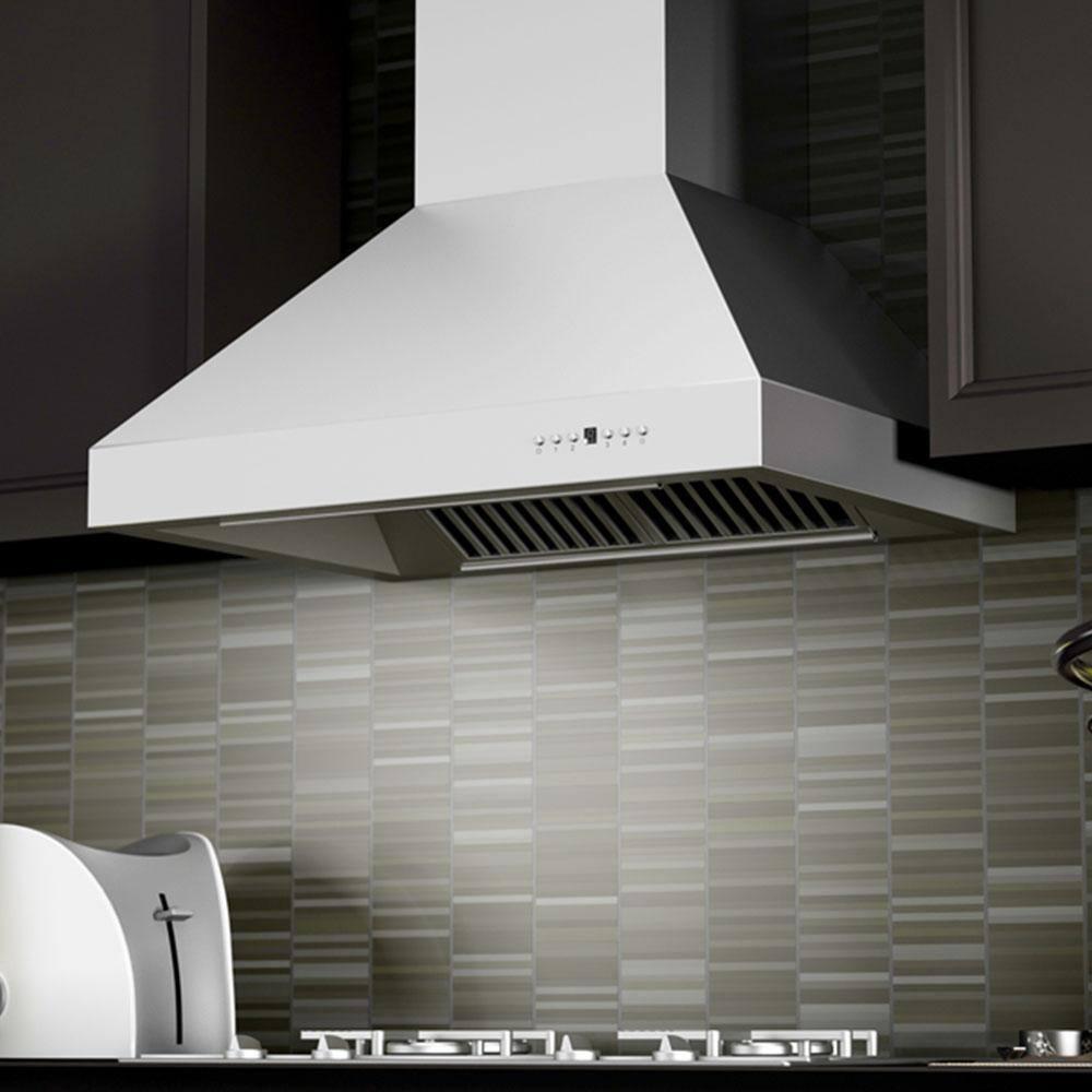 ZLINE ZLINE 48 in. Professional Ducted Wall Mount Range Hood in Stainless Steel (667-48)