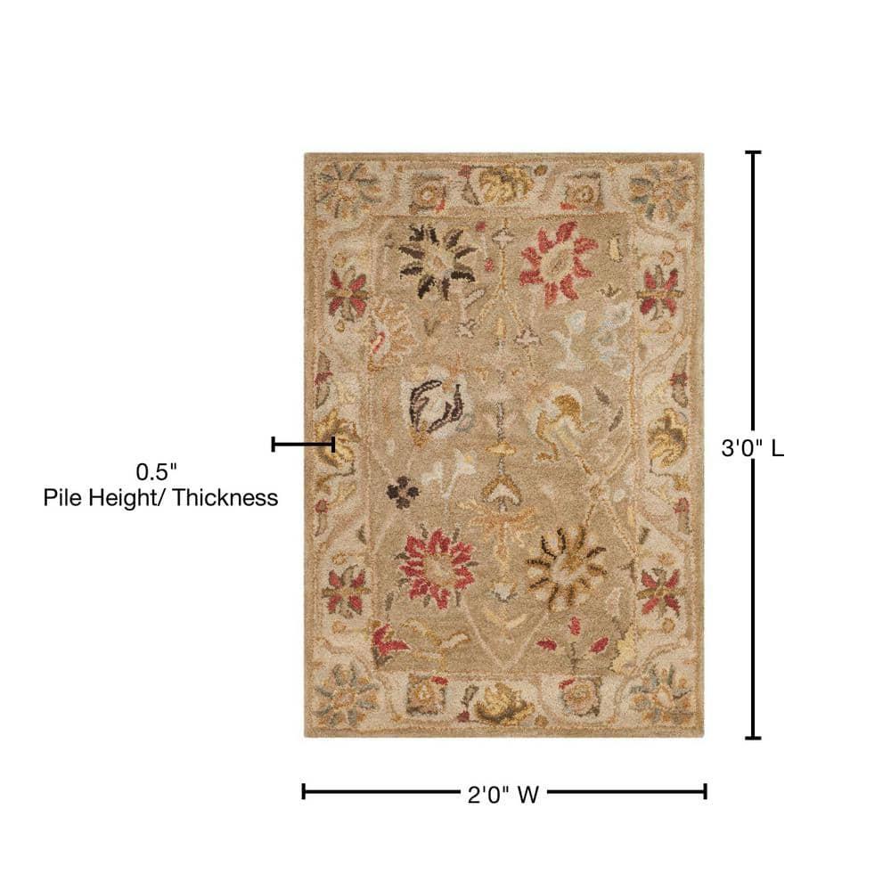 Antiquity AT859 Hand Tufted Indoor Accent Rug - Taupe/Beige - 2'x3' - Safavieh