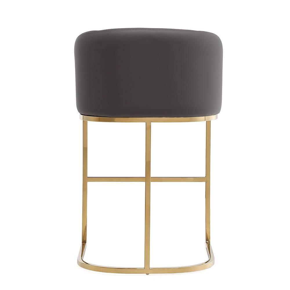 Louvre Upholstered Stainless Steel Barstool Gray - Manhattan Comfort: Faux Leather, Low Back, Armrest, Fixed Height