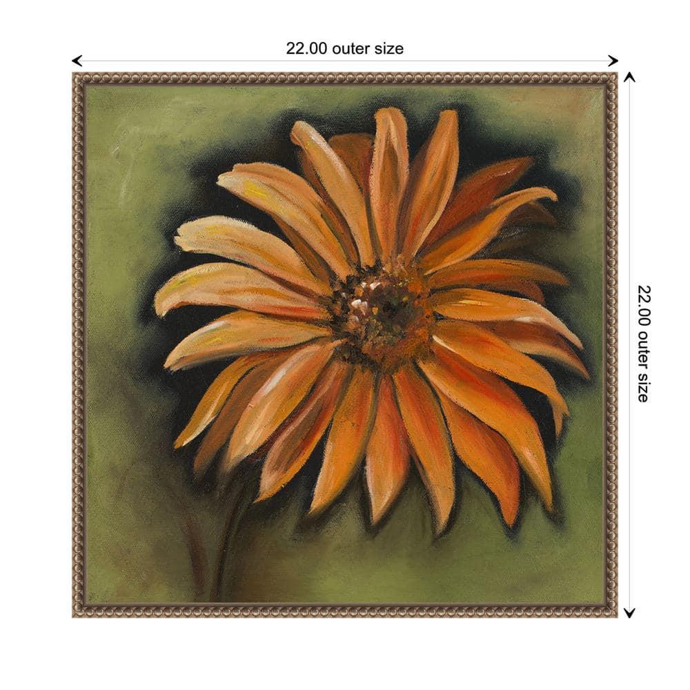 Amanti Art Daisy Collections III by Nelly Arenas Canvas Wall Art Print Framed 22 x 22-in.