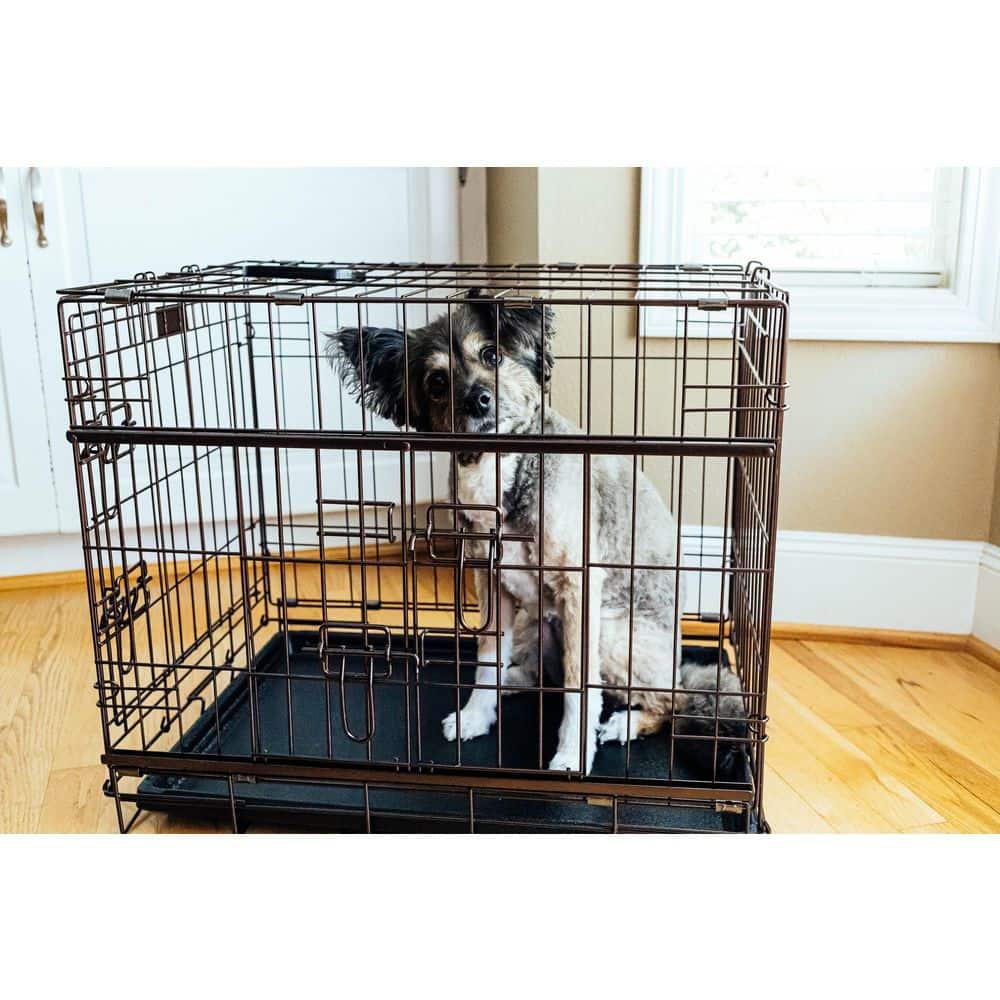 Lucky Dog Lucky Dog Dwell Series Crate - Bronze Finish