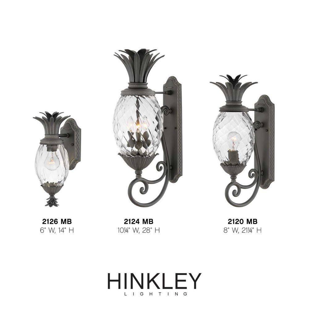 Hinkley Plantation Outdoor Wall Lantern