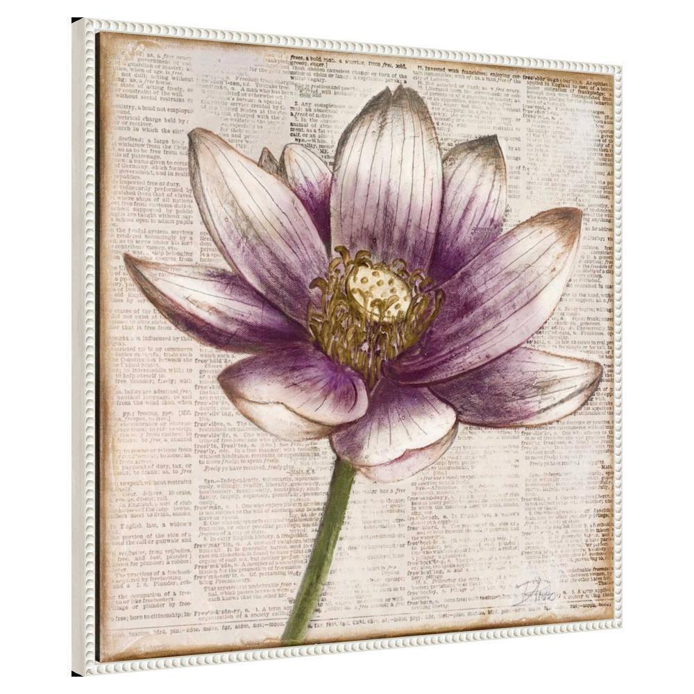 Amanti Art Defined Lotus Flower II by Patricia Pinto Canvas Wall Art Print Framed 30 x 30-in.
