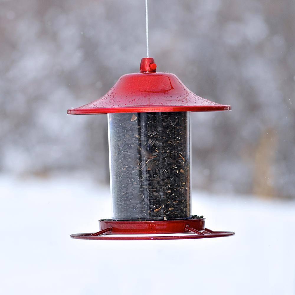Perky-Pet Wild Bird 2 lb Metal/Plastic Panorama Bird Feeder 1 ports Model No 312R (Case of 2)