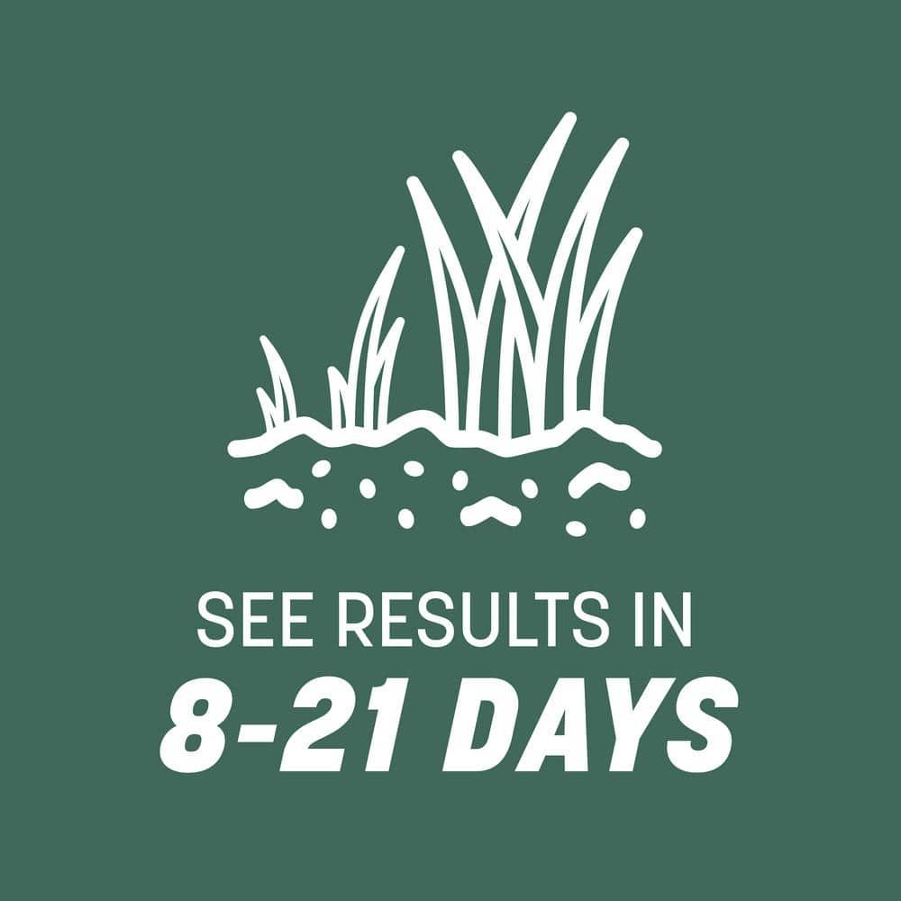 Pennington Kentucky 31 Tall Fescue Grass Sun or Shade Grass Seed 7 lb