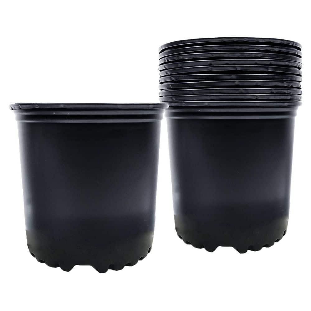 Arlmont & Co. Erdenheim Nursery Pot (Set of 12)