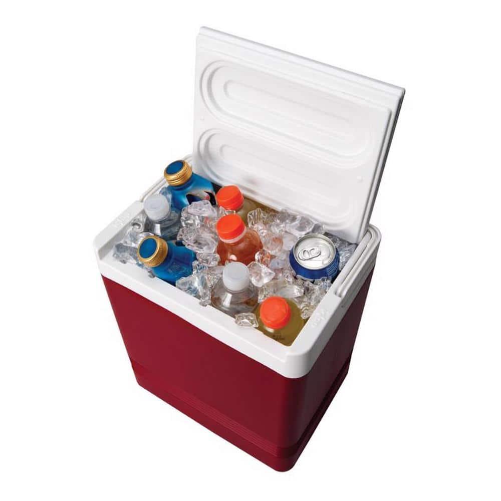Igloo 24 Can Legend Cooler & Reviews | Wayfair