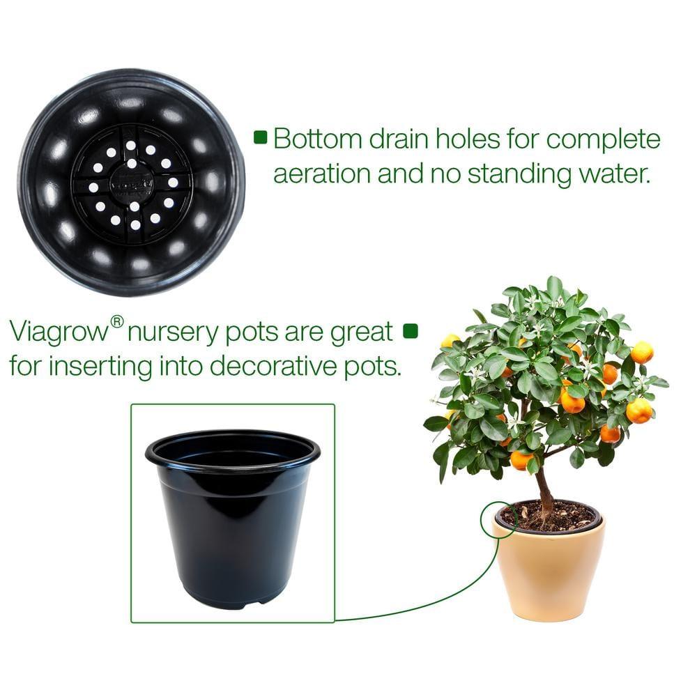 Arlmont & Co. Erdenheim Nursery Pot (Set of 12)