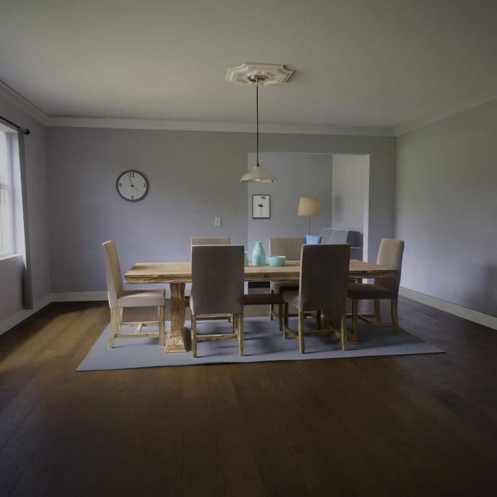 Ekena Millwork 30"OD x 5"ID x 9"C x 1"P Haus Architectural Grade PVC Contemporary Ceiling Medallion CMP16HS-04000